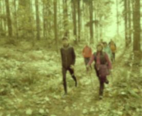 Nordic Walking